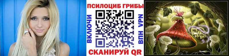 Псилоцибиновые грибы Psilocybe  нарко площадка клад  Сельцо  купить наркотик 